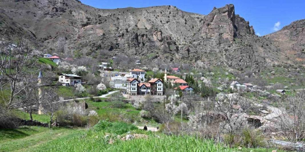 2 zıt beyaz aynı tepede buluştu! Gümüşhane’nin yüz yıllık mirası göz doldurdu 8